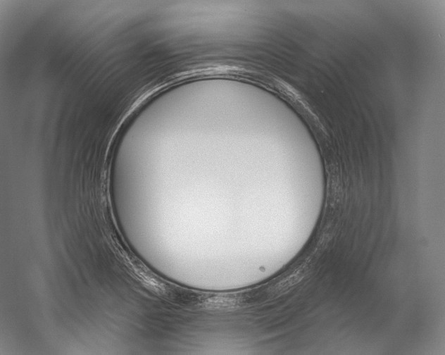 X0000060271178200510281027