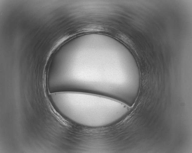 X0000060271179200510281027