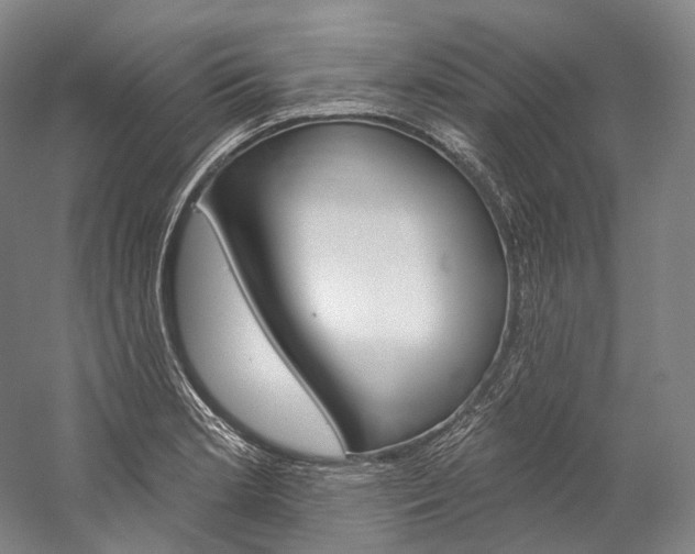X0000060271181200510281027