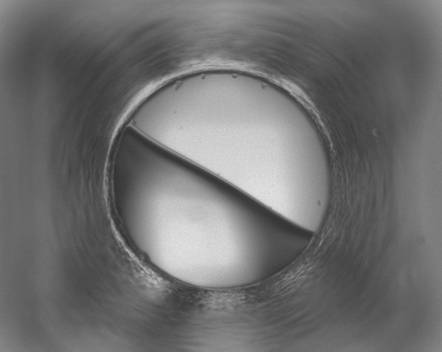 X0000060271183200510281027