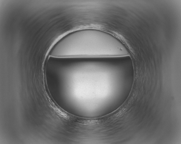 X0000060271184200510281027