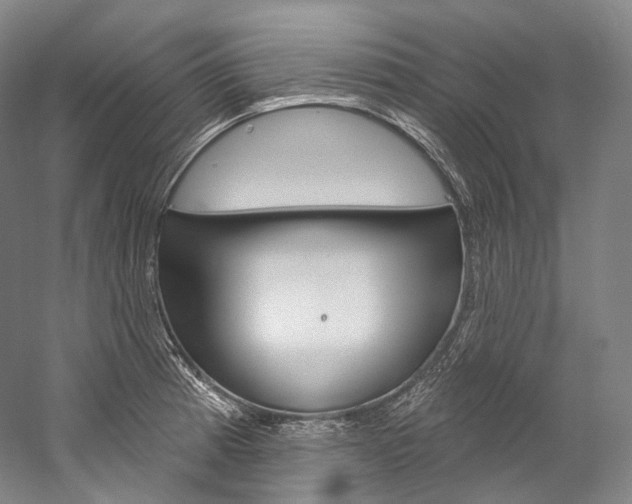 X0000060271185200510281027