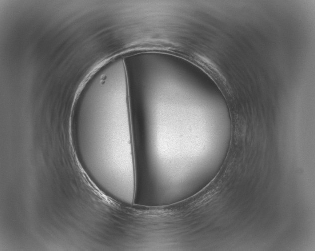 X0000060271188200510281027
