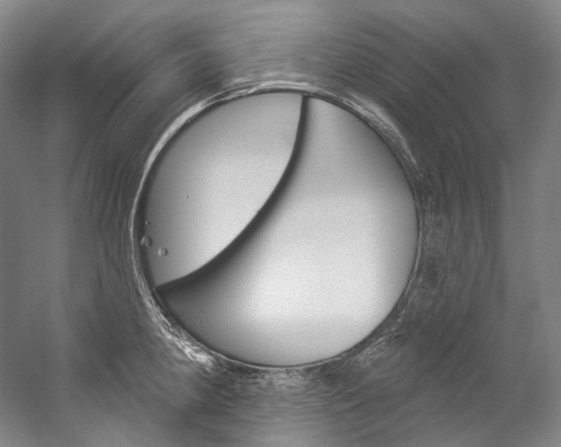X0000060271190200510281027