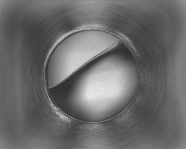 X0000060271192200510281027