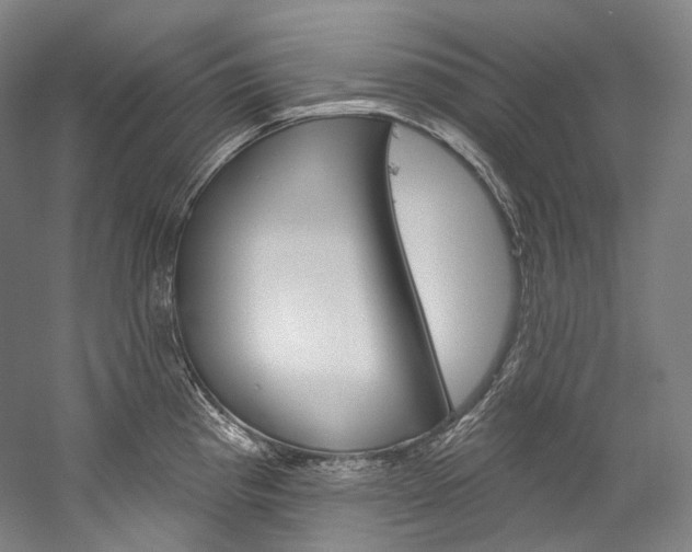 X0000060271193200510281027