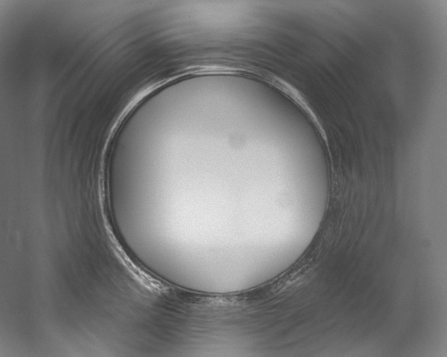 X0000060271195200510281027