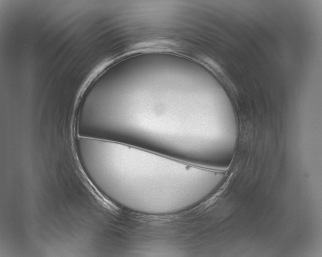 X0000060271196200510281027