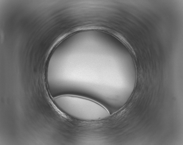 X0000060271197200510281027
