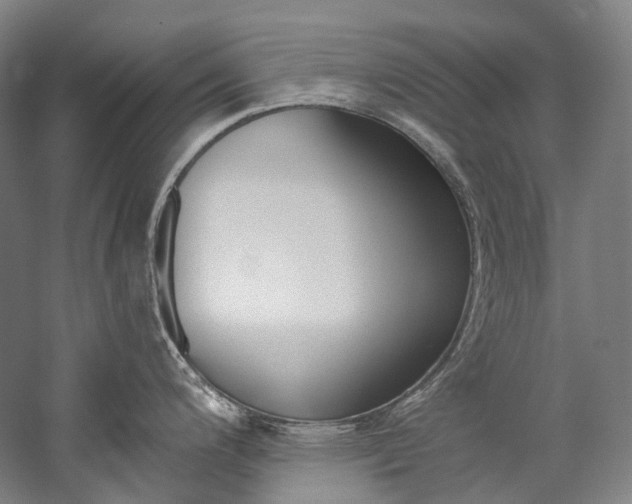 X0000060271200200510281027