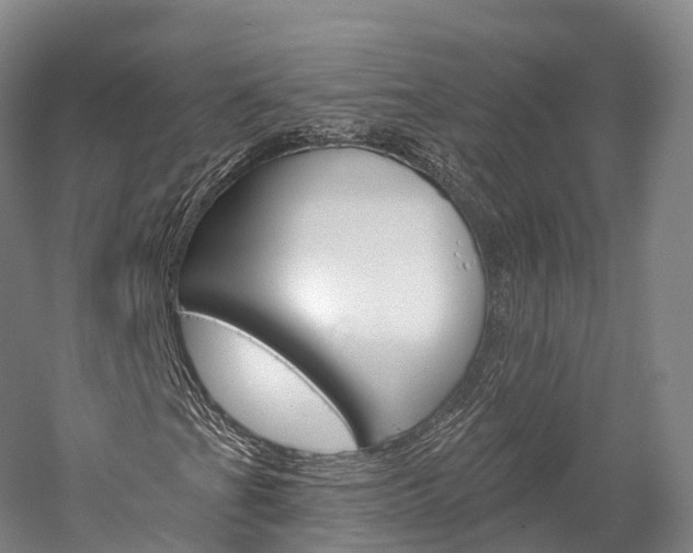 X0000060271201200510281026