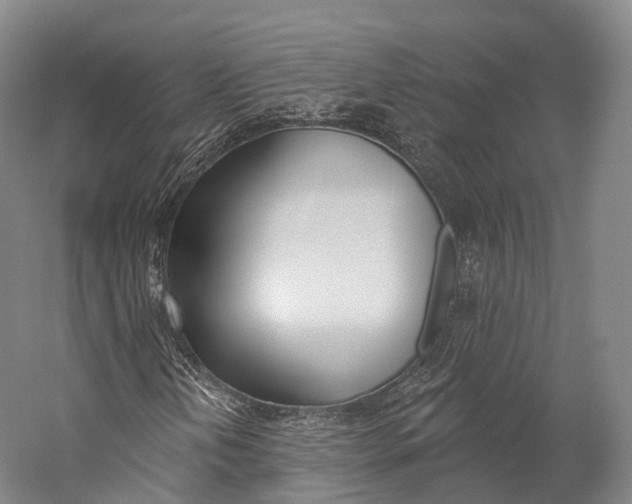 X0000060271202200510281026