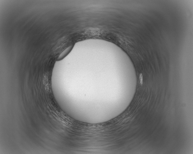 X0000060271203200510281026