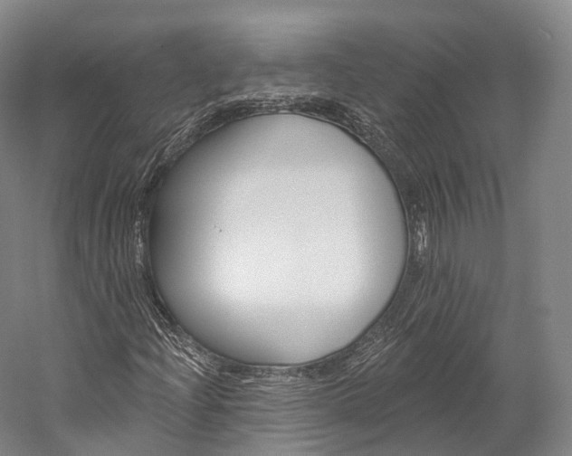 X0000060271204200510281026