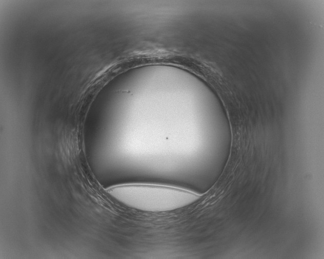 X0000060271205200510281026