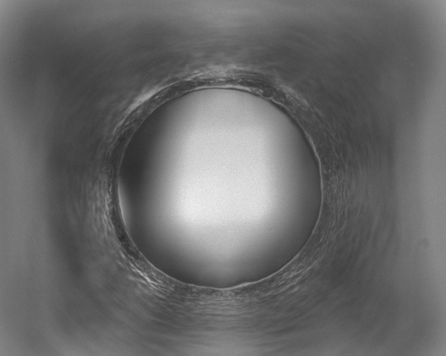 X0000060271206200510281026