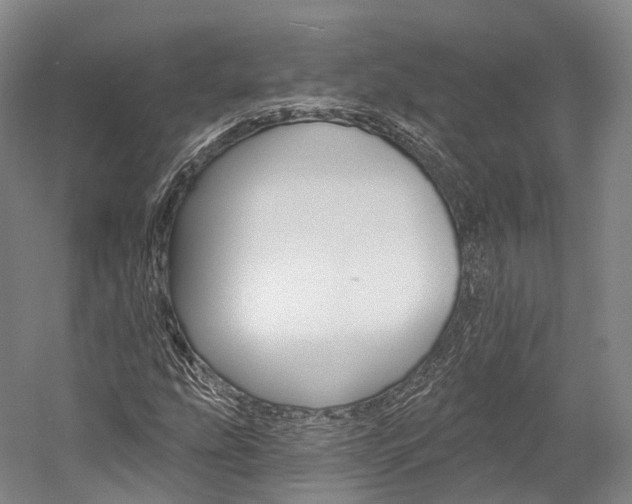 X0000060271207200510281026