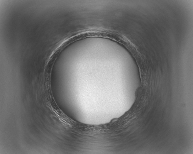 X0000060271208200510281026