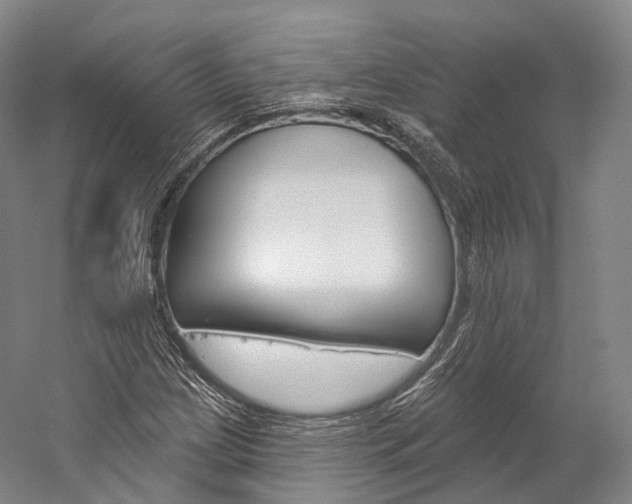 X0000060271209200510281026