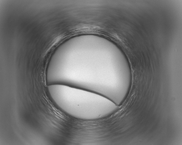 X0000060271211200510281026