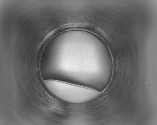 X0000060271213200510281026
