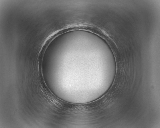 X0000060271214200510281026