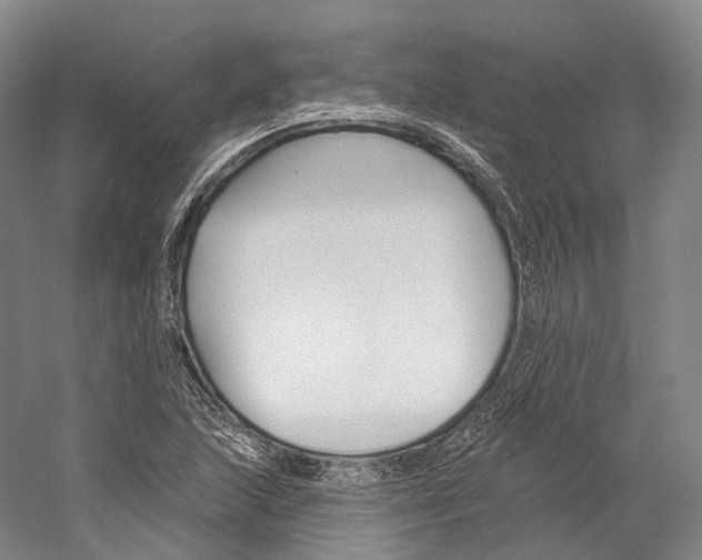 X0000060271215200510281026