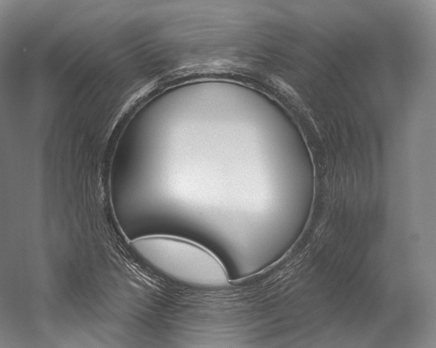 X0000060271218200510281026