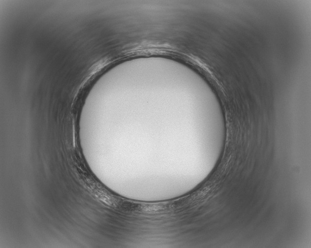 X0000060271219200510281026