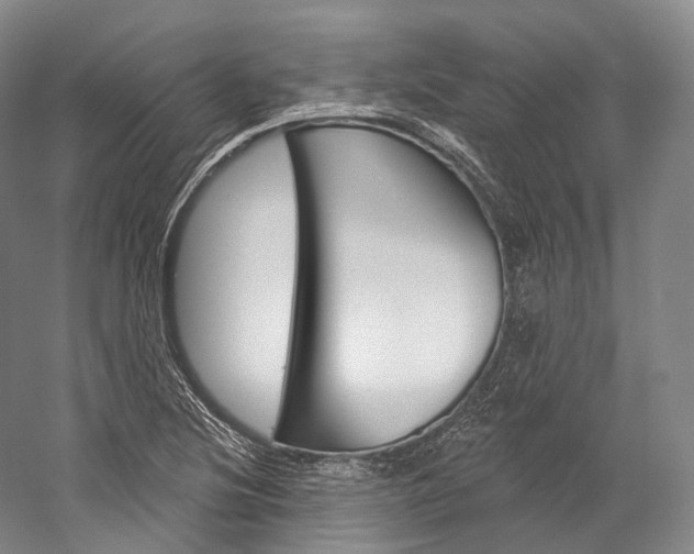 X0000060271220200510281026