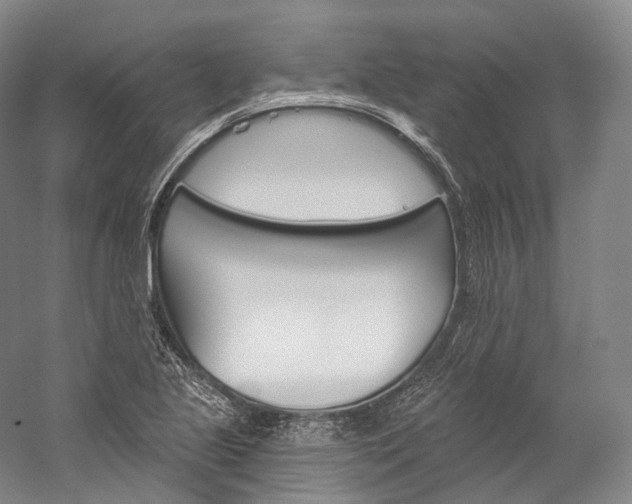 X0000060271221200510281026