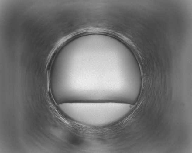 X0000060271223200510281026