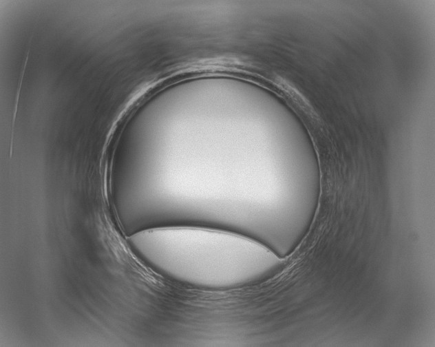 X0000060271224200510281026