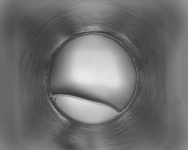 X0000060271225200510281026