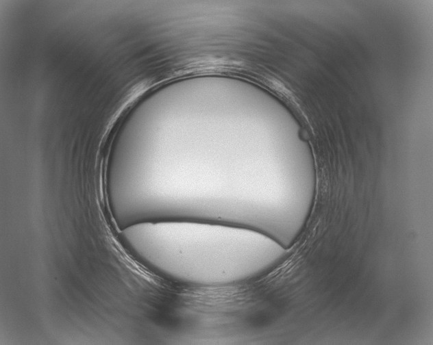 X0000060271227200510281026