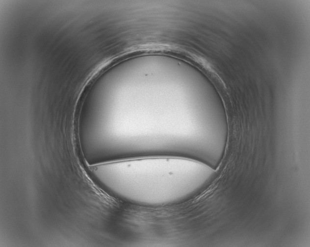X0000060271229200510281026