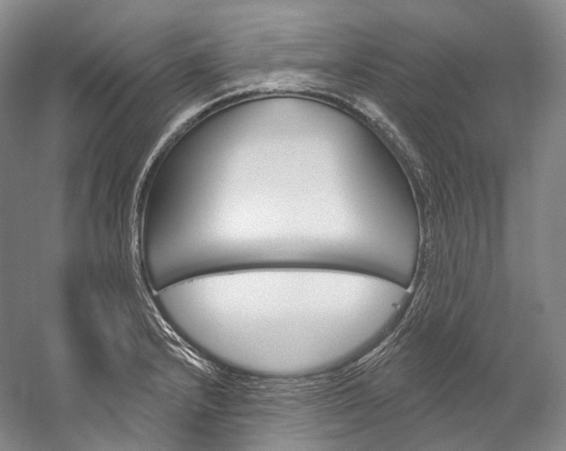 X0000060271232200510281026