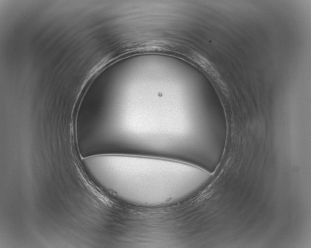 X0000060271234200510281026
