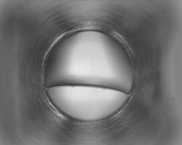 X0000060271236200510281027