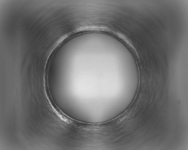 X0000060271237200510281027