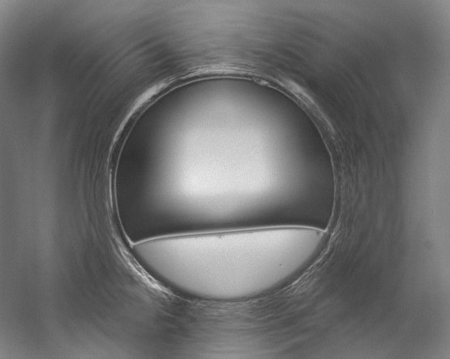 X0000060271238200510281027