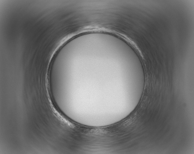 X0000060271239200510281027