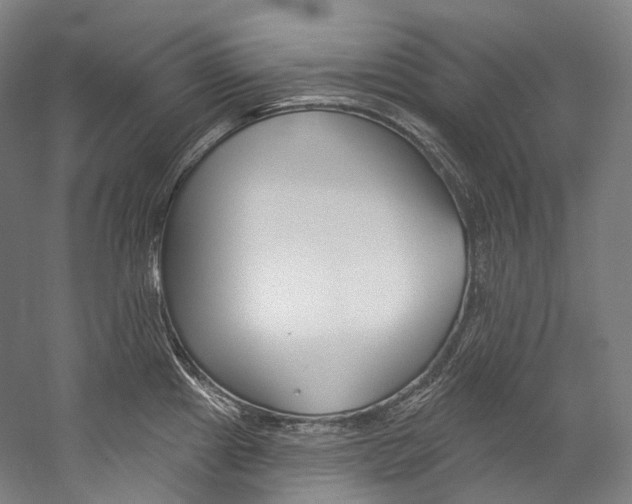 X0000060271241200510281027