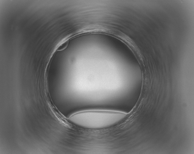 X0000060271242200510281027