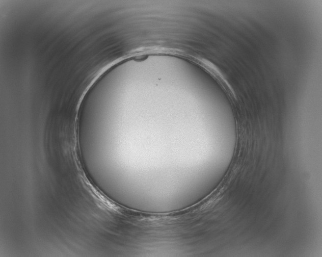 X0000060271244200510281027