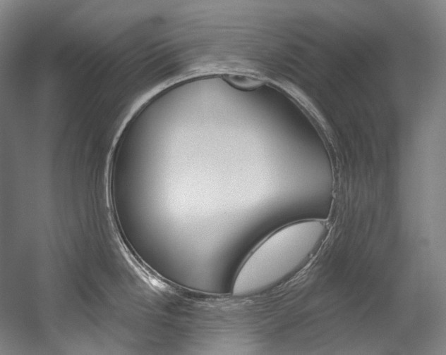 X0000060271246200510281027