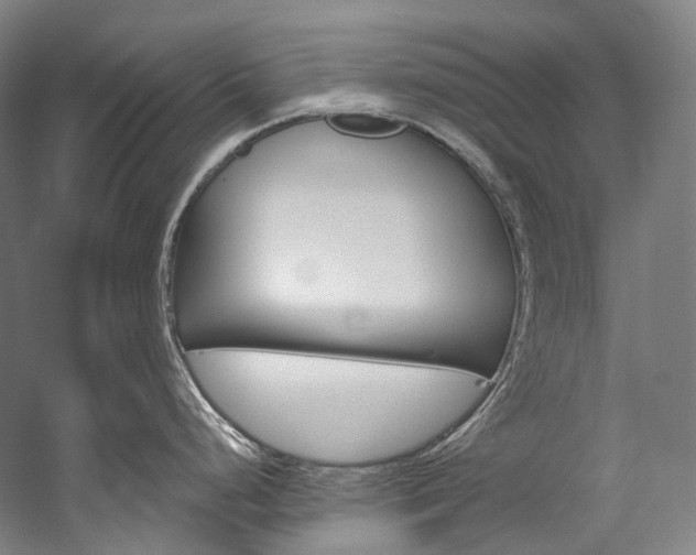 X0000060271248200510281027