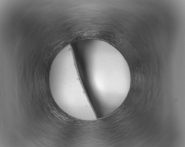 X0000060271250200510281026