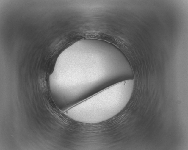 X0000060271252200510281026