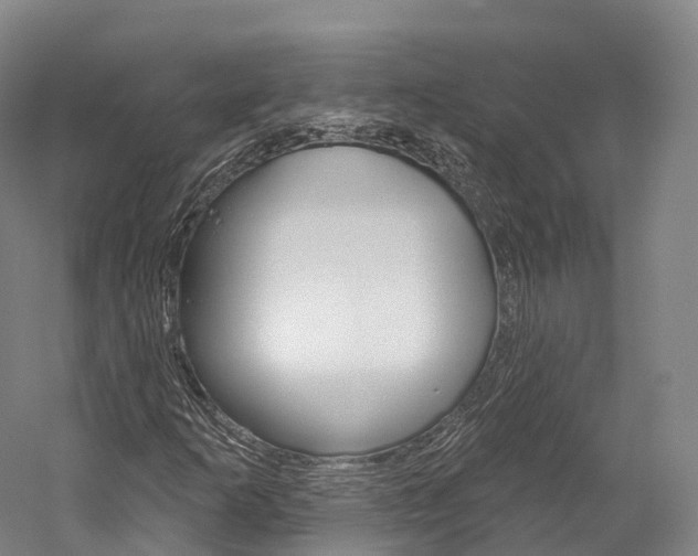 X0000060271253200510281026